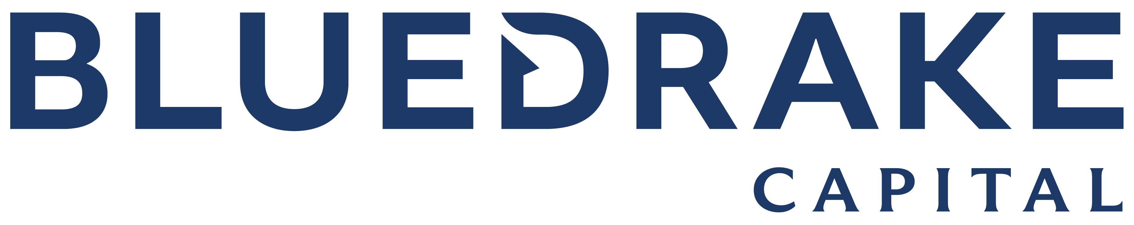 Blue Drake Capital